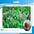 Hochwertiges icariin 50% 60% 80% 98% Epimedium-Extrakt